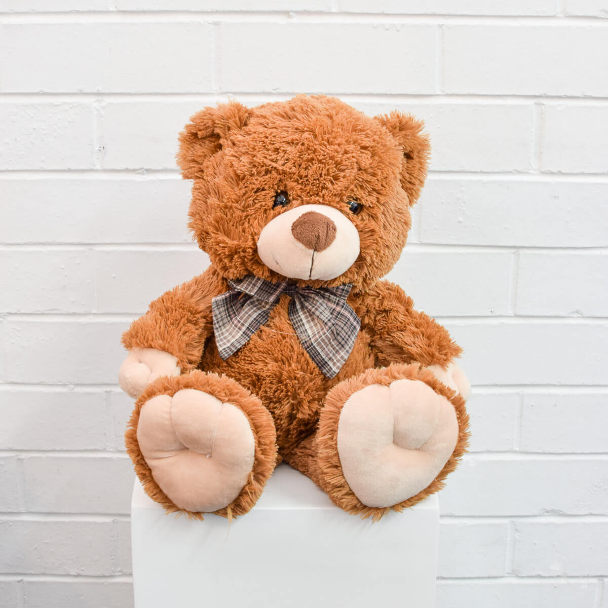 large brown teddy bear hire