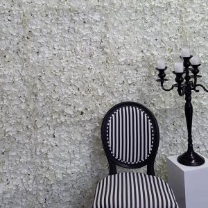 white petal wall